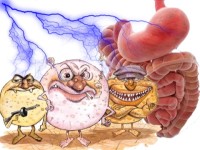Nuevas claves sobre el síndrome de intestino irritable post-infeccioso